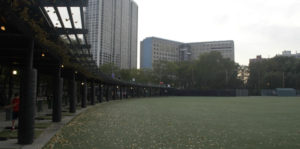 Diversey Driving Range